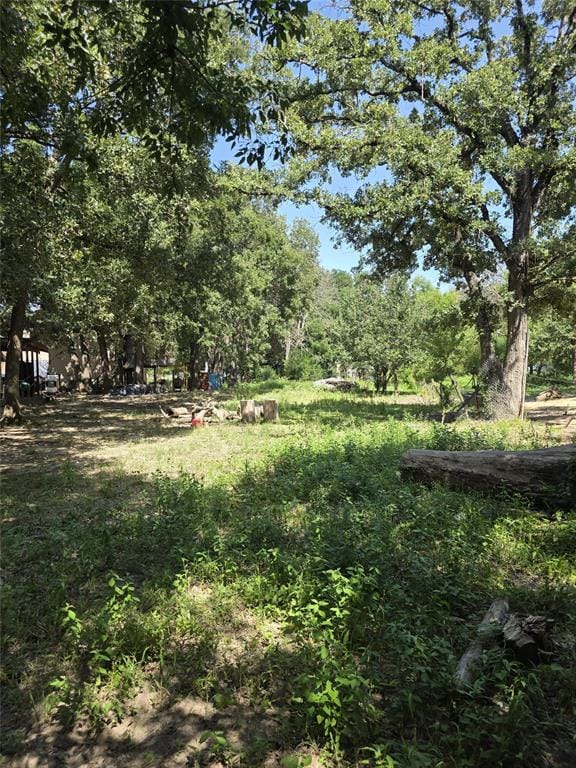 3719 Private Road 3843 Road, Quinlan TX 75474 - Photo 10