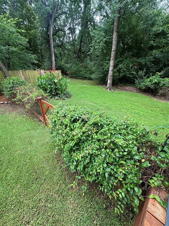 80 Louisiana Avenue, Pottsboro TX 75076 - Photo 26
