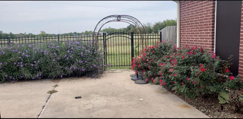 314 County Road 3585, Dike TX 75437 - Photo 8