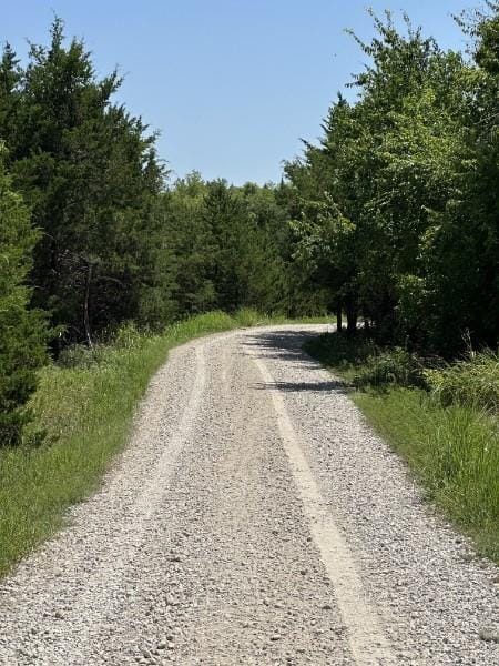 5464 County Road 1120, Farmersville TX 75442 - Photo 2