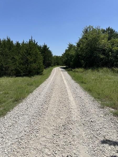 5464 County Road 1120, Farmersville TX 75442 - Photo 36