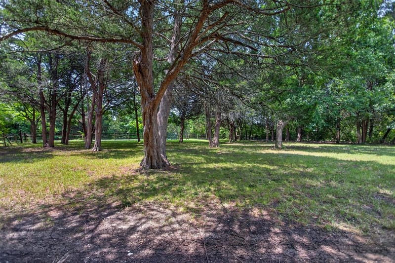 1007 Johnson Lane, Ovilla TX 76065 - Photo 9