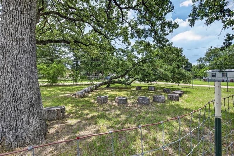 250 E Golden Oaks Drive, Mabank TX 75156 - Photo 26