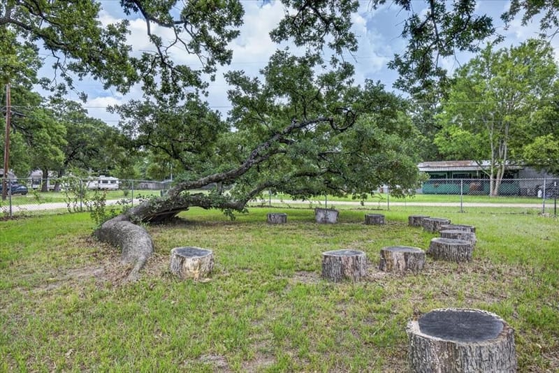 250 E Golden Oaks Drive, Mabank TX 75156 - Photo 22