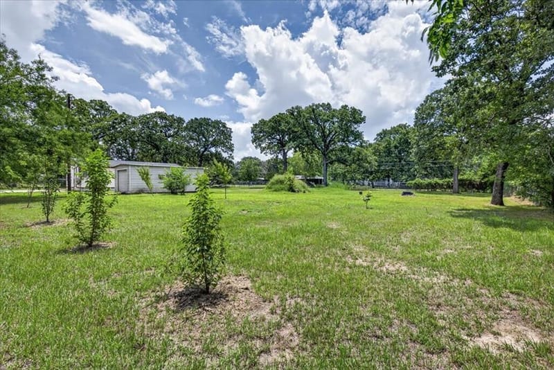 250 E Golden Oaks Drive, Mabank TX 75156 - Photo 21