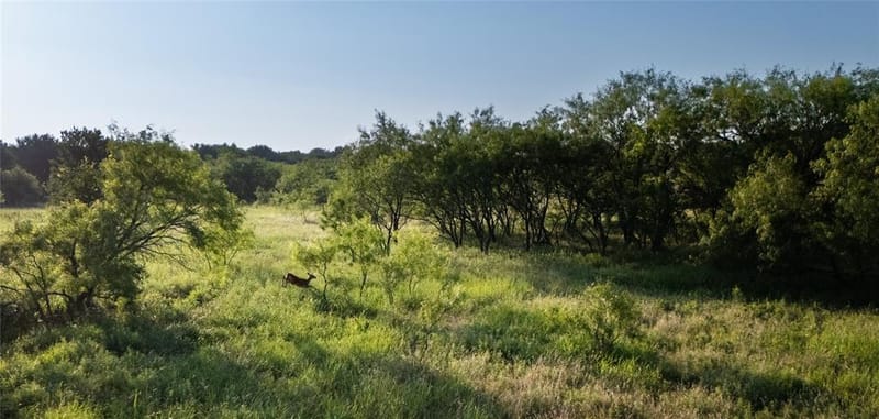 1324 Tidwell Road, Weatherford TX 76087 - Photo 36
