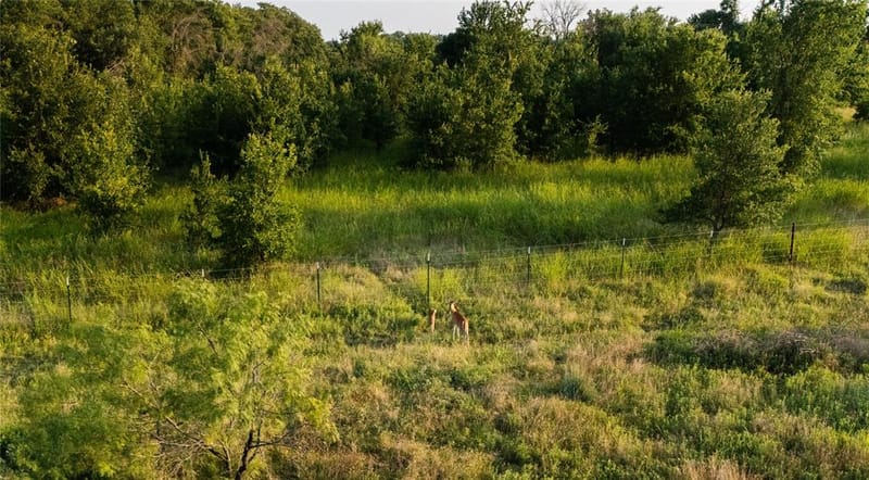 1324 Tidwell Road, Weatherford TX 76087 - Photo 35