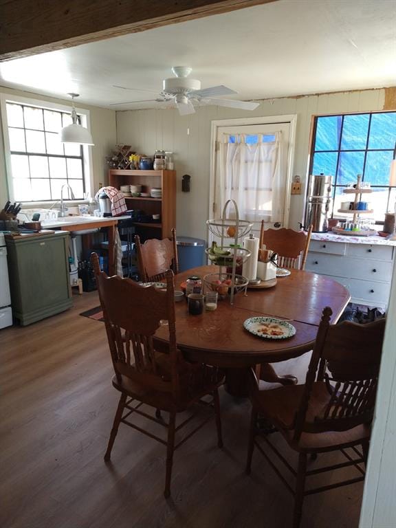 13545 Fm 773, Murchison TX 75778 - Photo 3