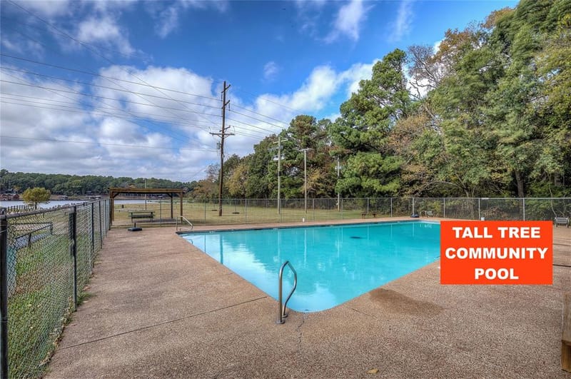 331 Spring Creek Drive, Mount Vernon TX 75457 - Photo 33