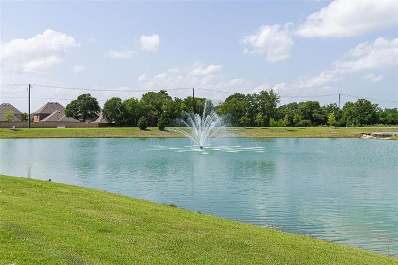 1023 Coralberry Way, Wylie TX 75098 - Photo 13