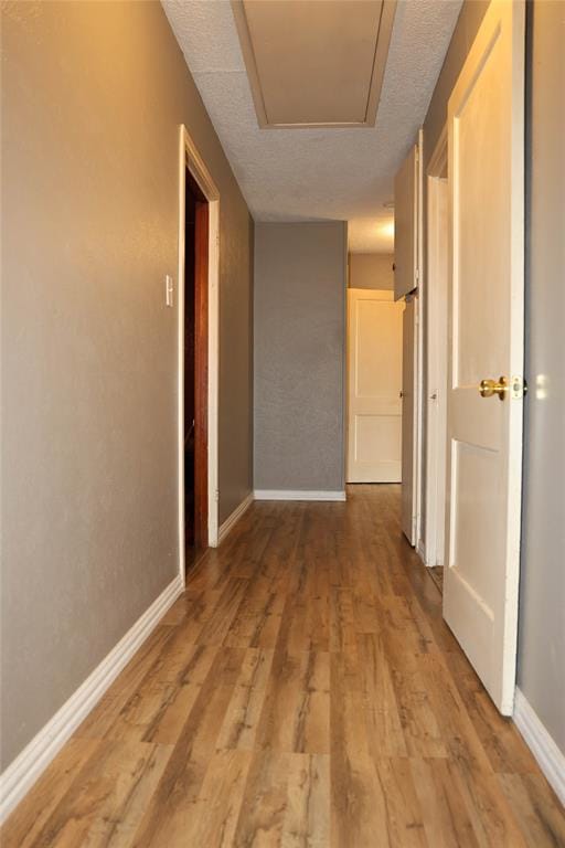 709 Mulkey Lane, Denton TX 76209 - Photo 17