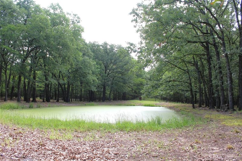 1204 Red Hawk Bay Drive, West Tawakoni TX 75474 - Photo 12