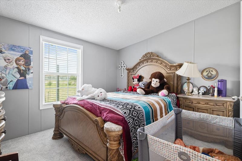 5909 Black Springs Lane, Joshua TX 76058 - Photo 23
