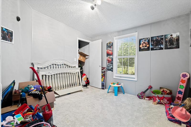 5909 Black Springs Lane, Joshua TX 76058 - Photo 24