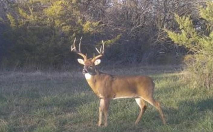 4877 Fm 84, Denison TX 75020 - Photo 39