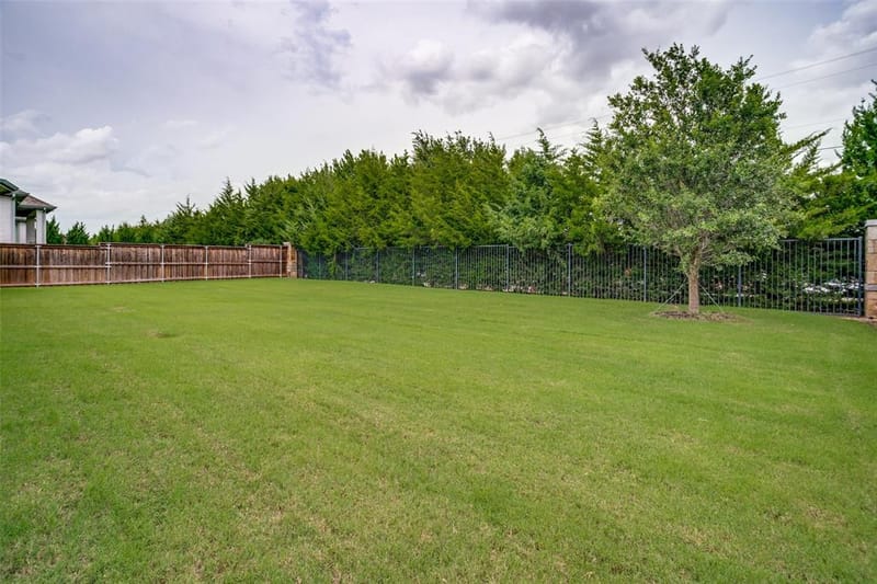 810 Country Brook Lane, Prosper TX 75078 - Photo 23