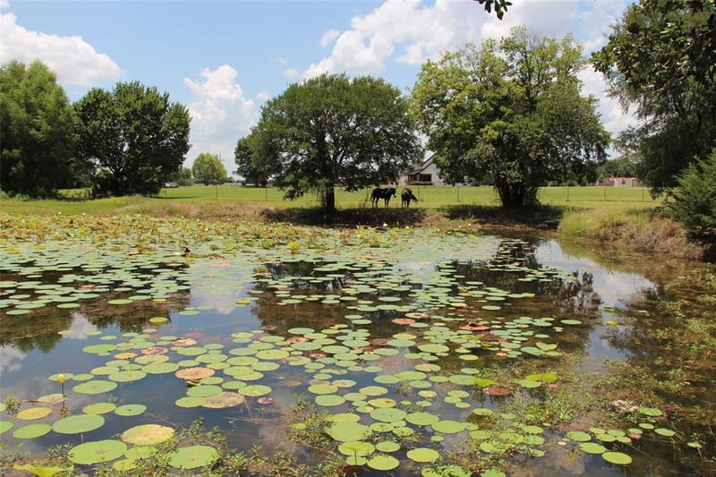 1199 County Road 1245, Savoy TX 75479 - Photo 20