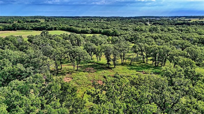 978 Longbranch Road, Nocona TX 76255 - Photo 32
