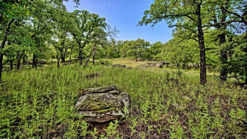 978 Longbranch Road, Nocona TX 76255 - Photo 30