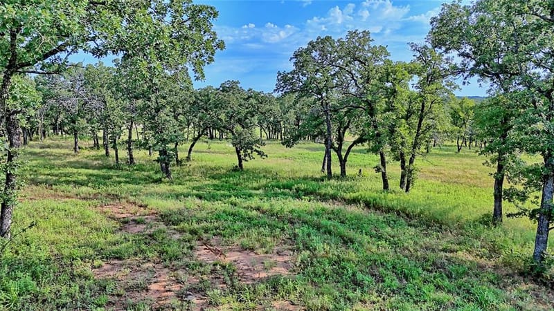978 Longbranch Road, Nocona TX 76255 - Photo 33