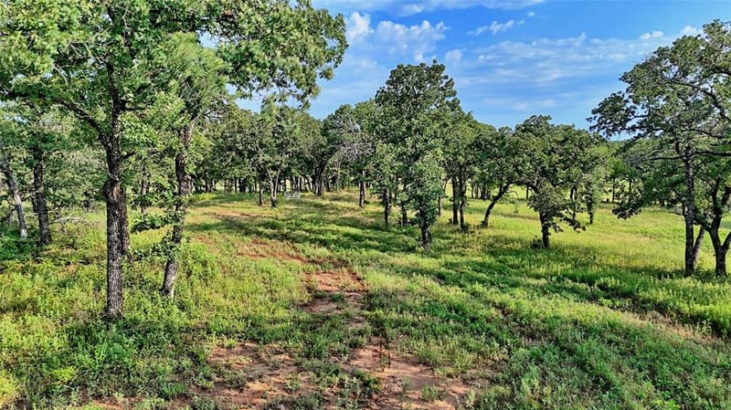 978 Longbranch Road, Nocona TX 76255 - Photo 31