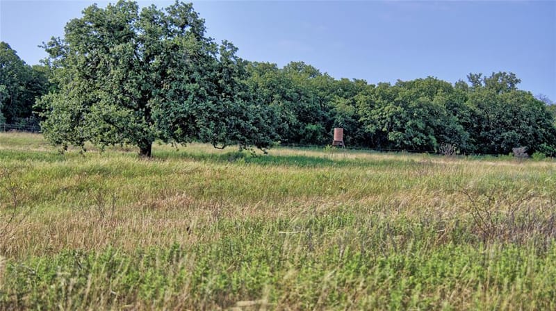 978 Longbranch Road, Nocona TX 76255 - Photo 29