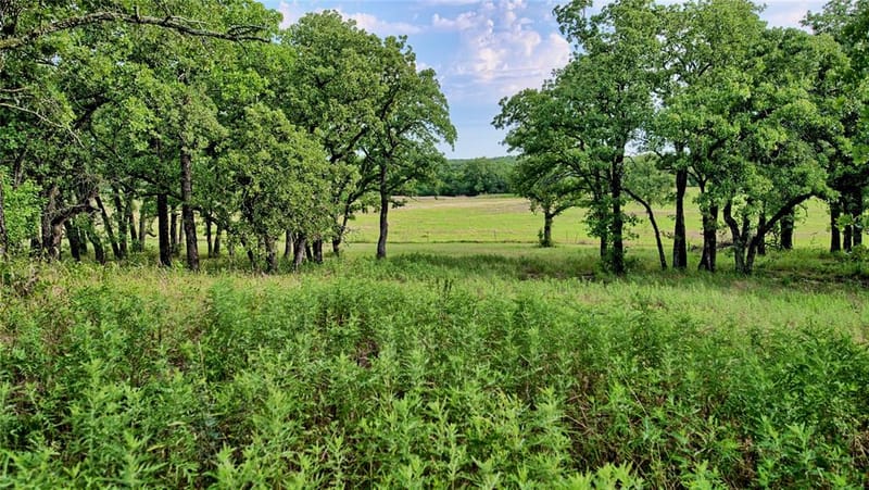 978 Longbranch Road, Nocona TX 76255 - Photo 4