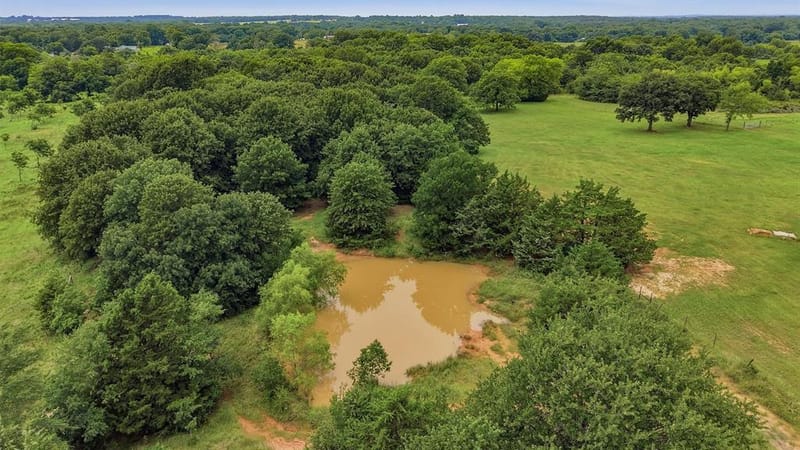 7277 W Line Road, Collinsville TX 76233 - Photo 7