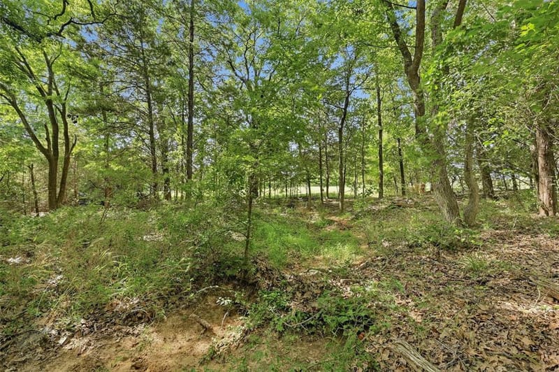 7277 W Line Road, Collinsville TX 76233 - Photo 33