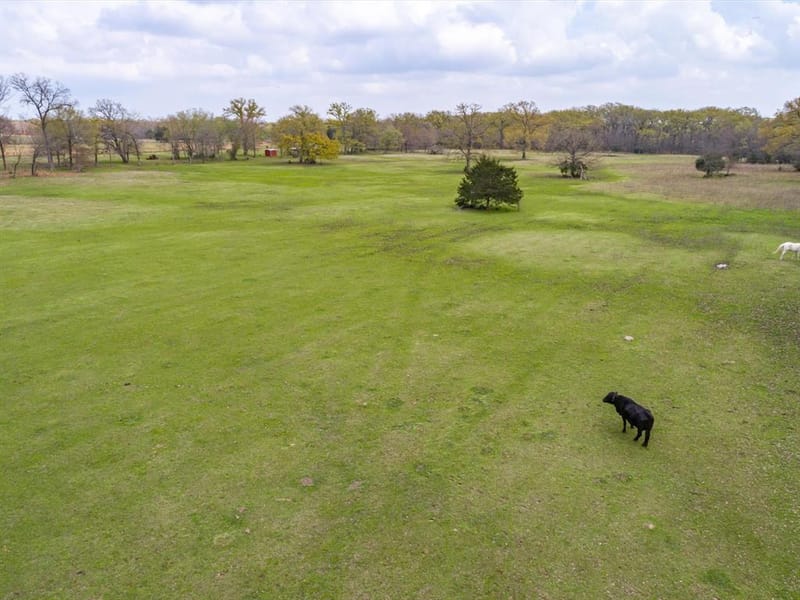 1940 County Road 1800, Yantis TX 75497 - Photo 9