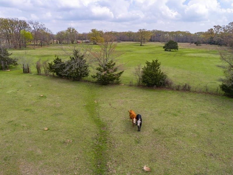 1940 County Road 1800, Yantis TX 75497 - Photo 8