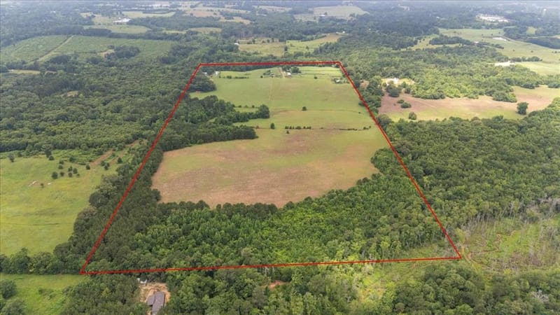 3989 Bob O Link Road, Gilmer TX 75645 - Photo 23