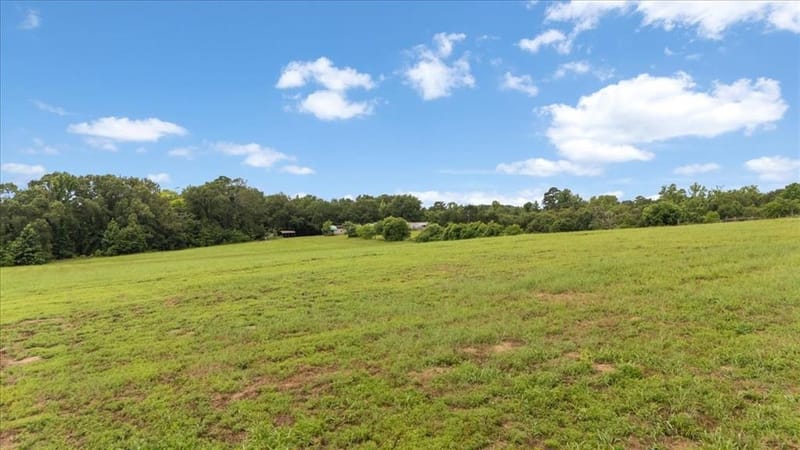 3989 Bob O Link Road, Gilmer TX 75645 - Photo 32