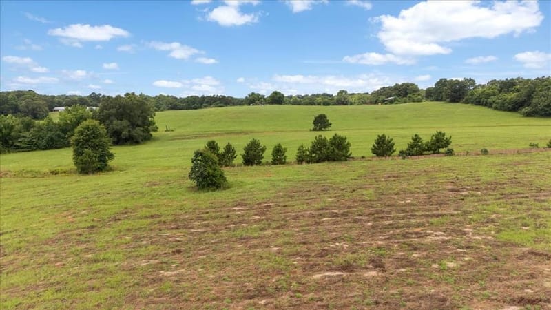 3989 Bob O Link Road, Gilmer TX 75645 - Photo 28