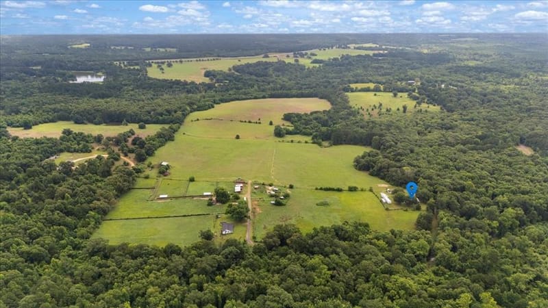 3989 Bob O Link Road, Gilmer TX 75645 - Photo 24