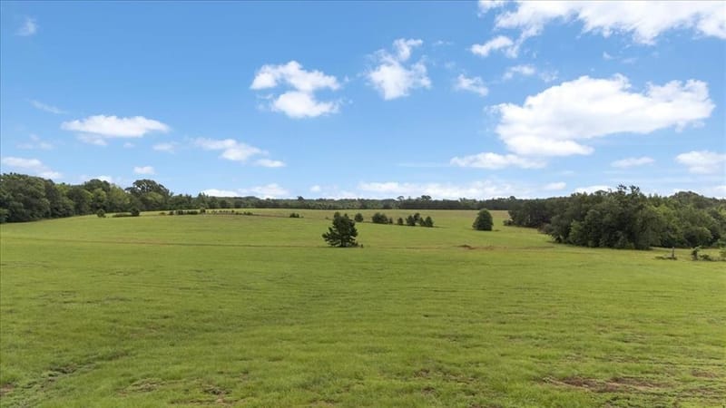 3989 Bob O Link Road, Gilmer TX 75645 - Photo 31