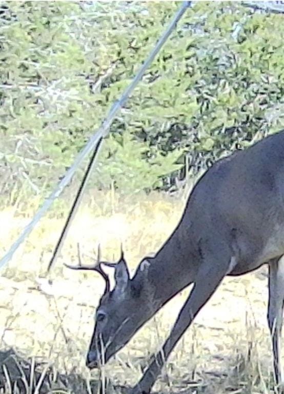 3828 W Fm 219, Hico TX 76457 - Photo 23
