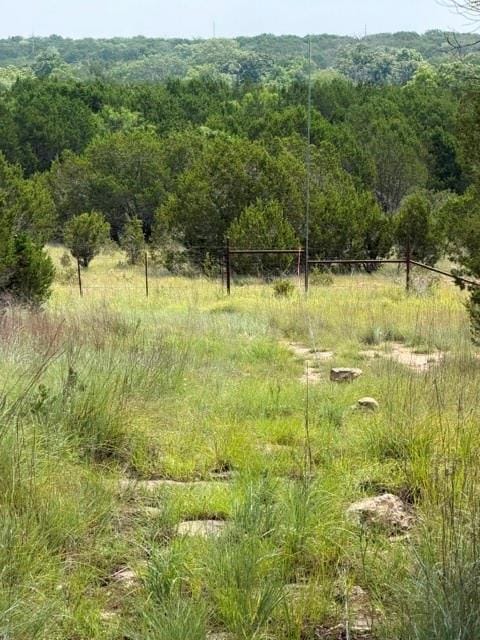 3828 W Fm 219, Hico TX 76457 - Photo 6