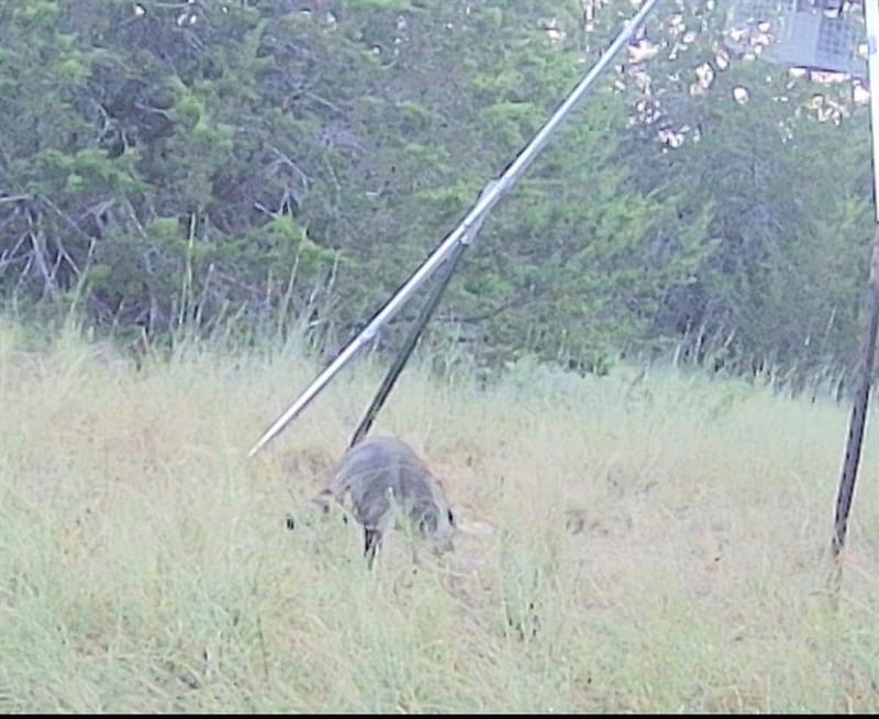 3828 W Fm 219, Hico TX 76457 - Photo 13