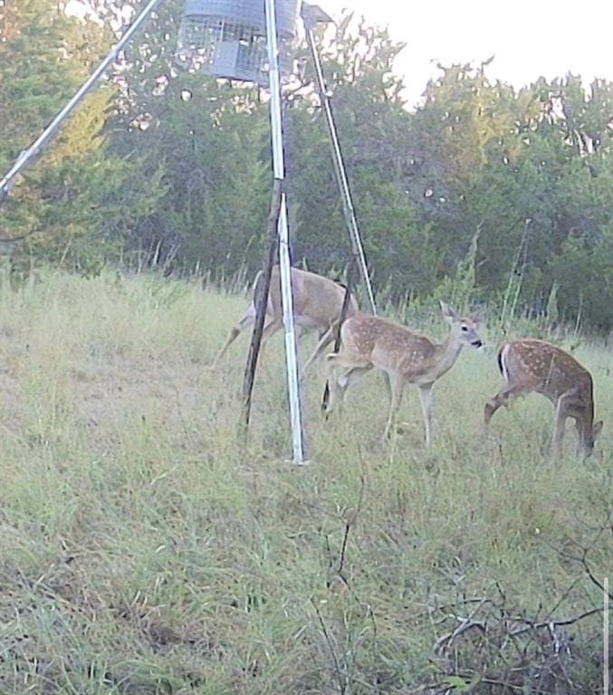3828 W Fm 219, Hico TX 76457 - Photo 17