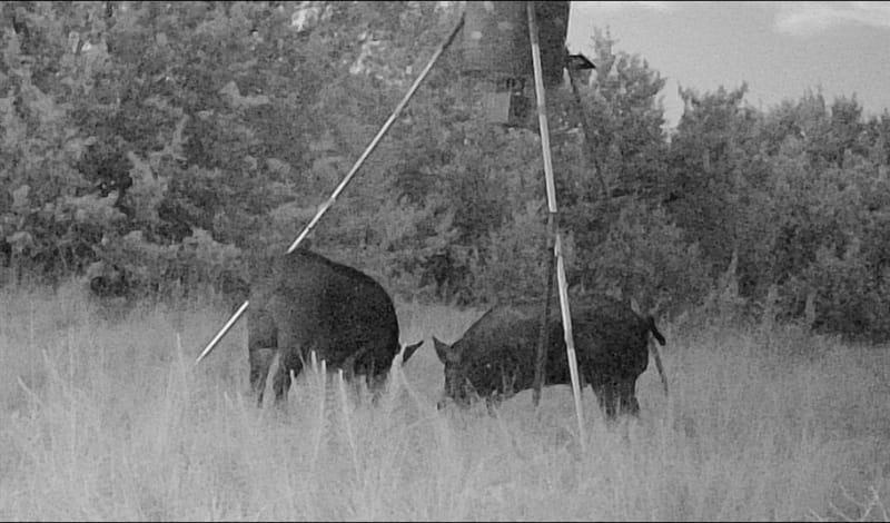 3828 W Fm 219, Hico TX 76457 - Photo 16