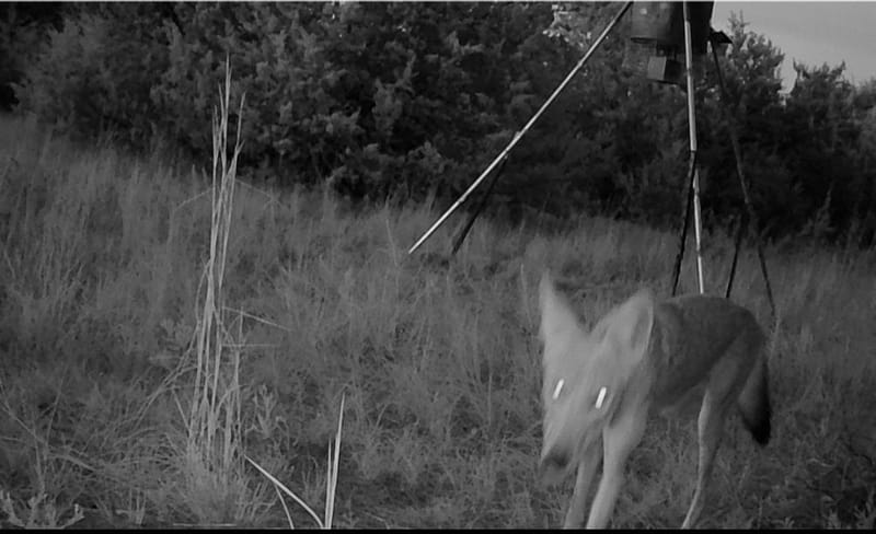 3828 W Fm 219, Hico TX 76457 - Photo 12
