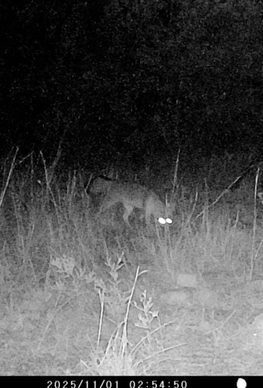 3828 W Fm 219, Hico TX 76457 - Photo 22