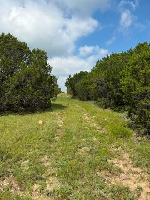 3828 W Fm 219, Hico TX 76457 - Photo 7