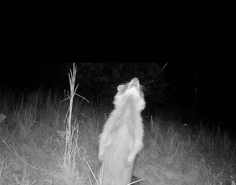 3828 W Fm 219, Hico TX 76457 - Photo 14