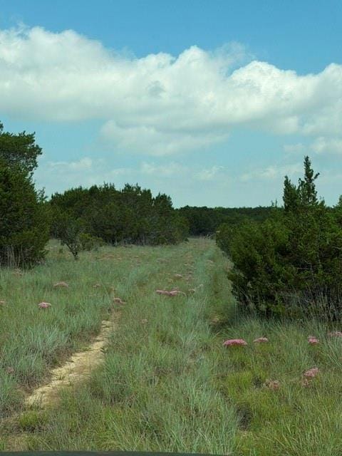 3828 W Fm 219, Hico TX 76457 - Photo 40