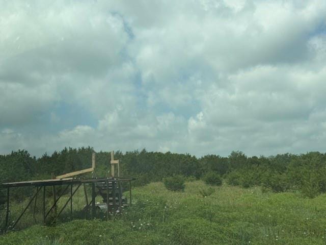 3828 W Fm 219, Hico TX 76457 - Photo 35