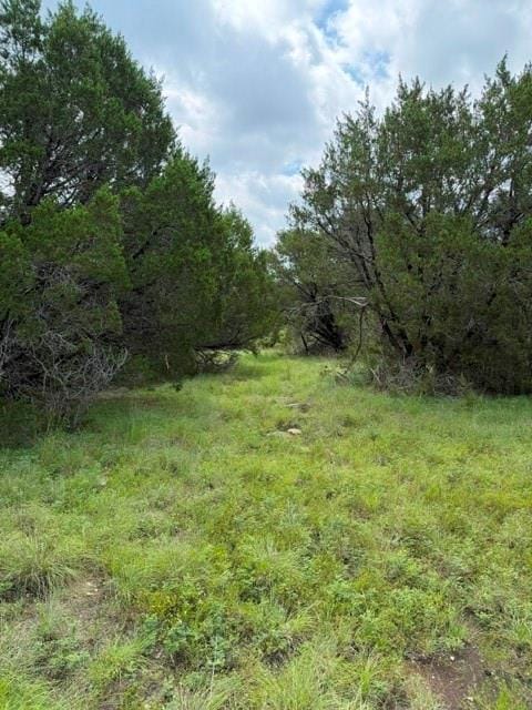 3828 W Fm 219, Hico TX 76457 - Photo 31