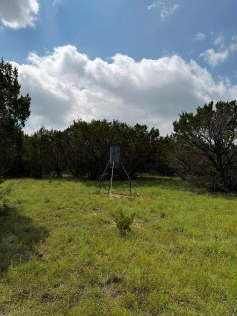 3828 W Fm 219, Hico TX 76457 - Photo 39