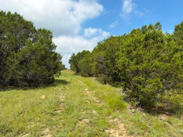3828 W Fm 219, Hico TX 76457 - Photo 4